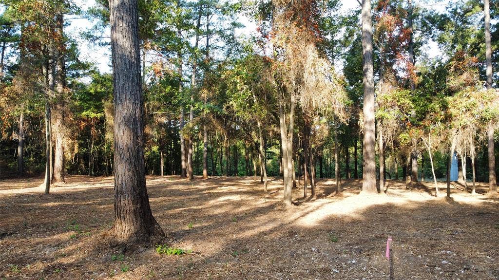 TBD C R 192, #8, Tyler, TX 75703 commercial lot with trees