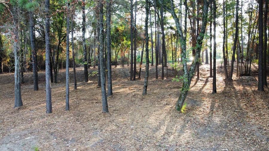 Property photo for TBD C R 192, #8, Tyler, TX