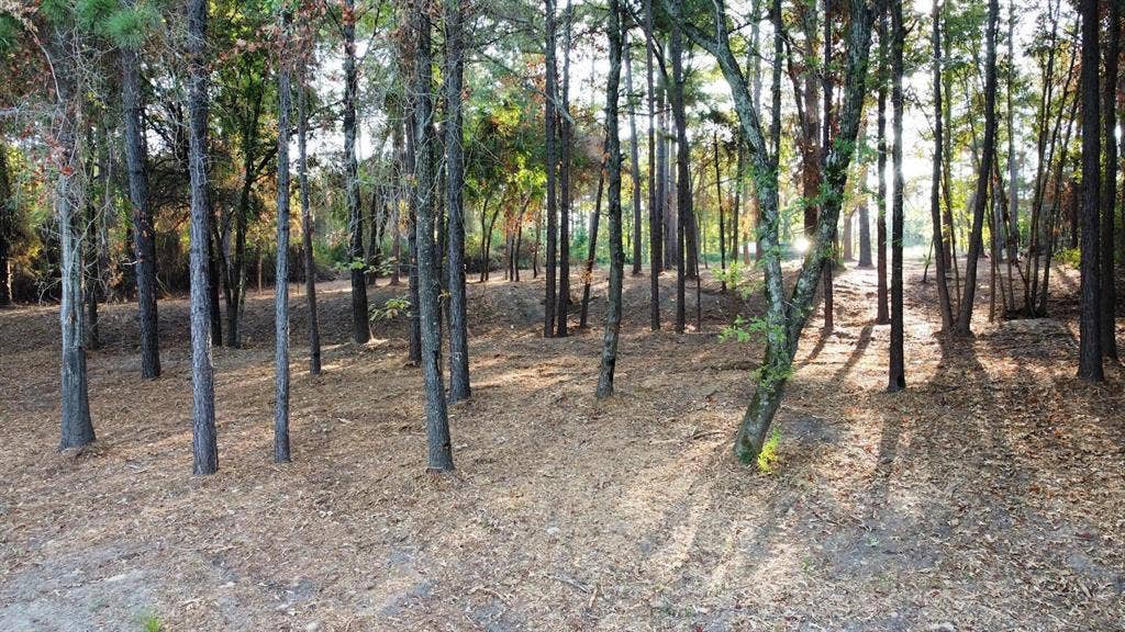 TBD C R 192, #8, Tyler, TX 75703 TBD C R 192, #8, Tyler, TX 75703