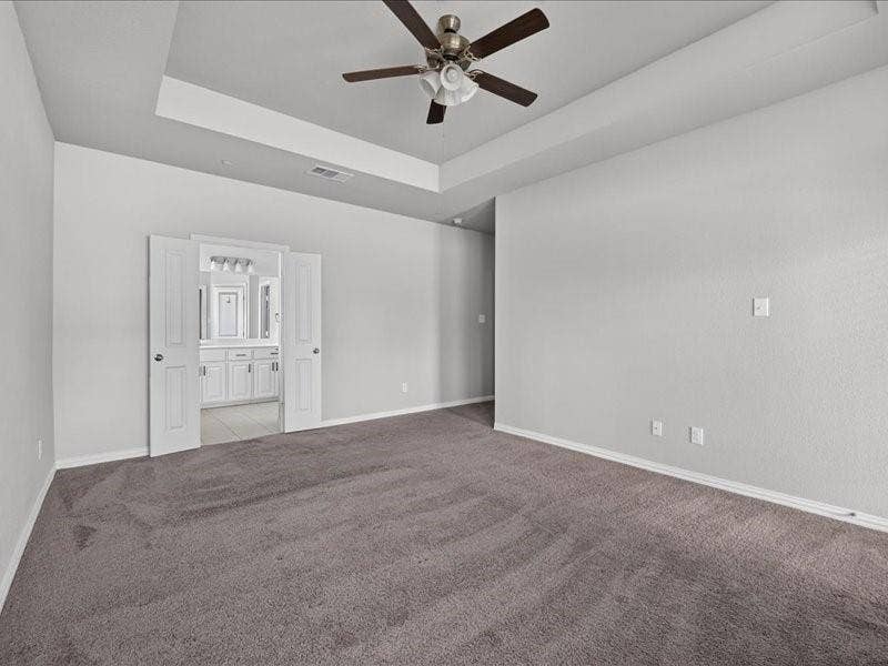 Tray ceiling, ceiling fan, plush carpet, double doors, vanity with dual sinks