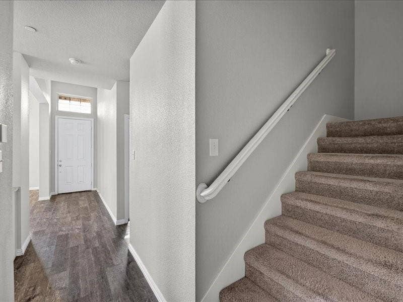 Entryway featuring wood-finish flooring, a paneled front door with transom window, and a carpeted staircase with a white handrail