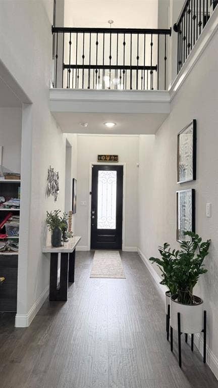 Two-story foyer with wood-finish flooring, wrought iron balusters, and a decorative glass panel entry door