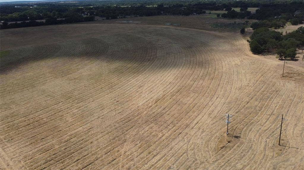 Expansive open field featuring natural ground cover and distant tree lines