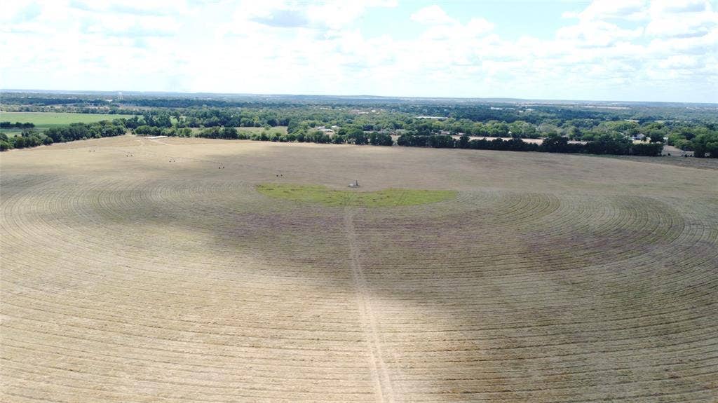 Expansive open field with visible crop patterns