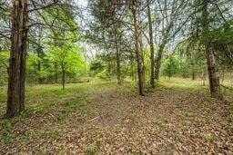 12770 E US 175 E, Larue, TX 75770 Wooded grounds featuring mature trees and a natural leaf-covered floor