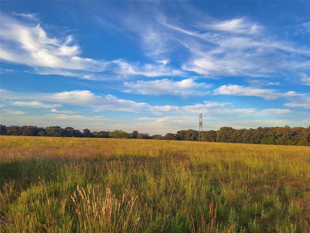 TBD County Road 2147, #C, Kemp, TX 75143 TBD County Road 2147, #C, Kemp, TX 75143