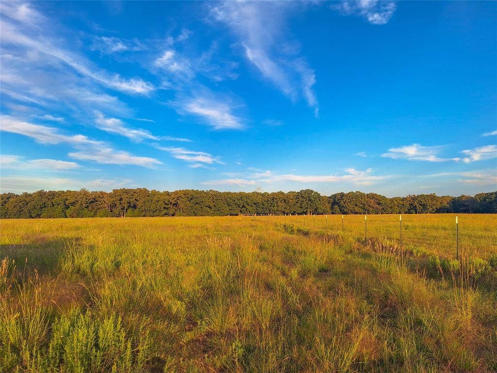 TBD County Road 2147, #C, Kemp, TX 75143 TBD County Road 2147, #C, Kemp, TX 75143