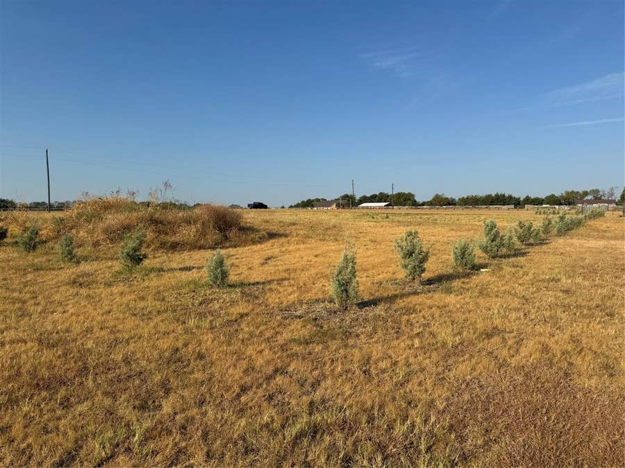 Property photo for 115 County Road 4524 Street, Whitewright, TX