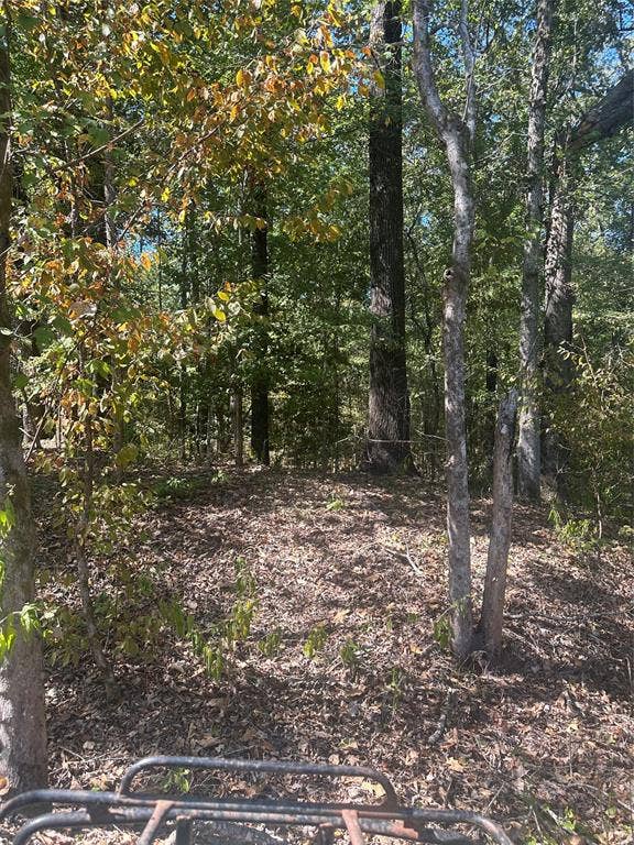 Property photo for 394 Denmon Road, Sarepta, LA