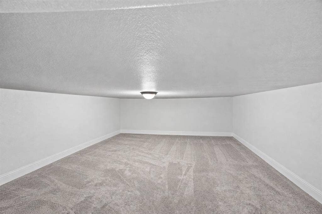 Massive under stairs storage fully emptied