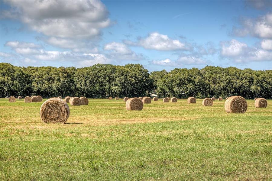 Property photo for 3812 County Road 120, Wills Point, TX