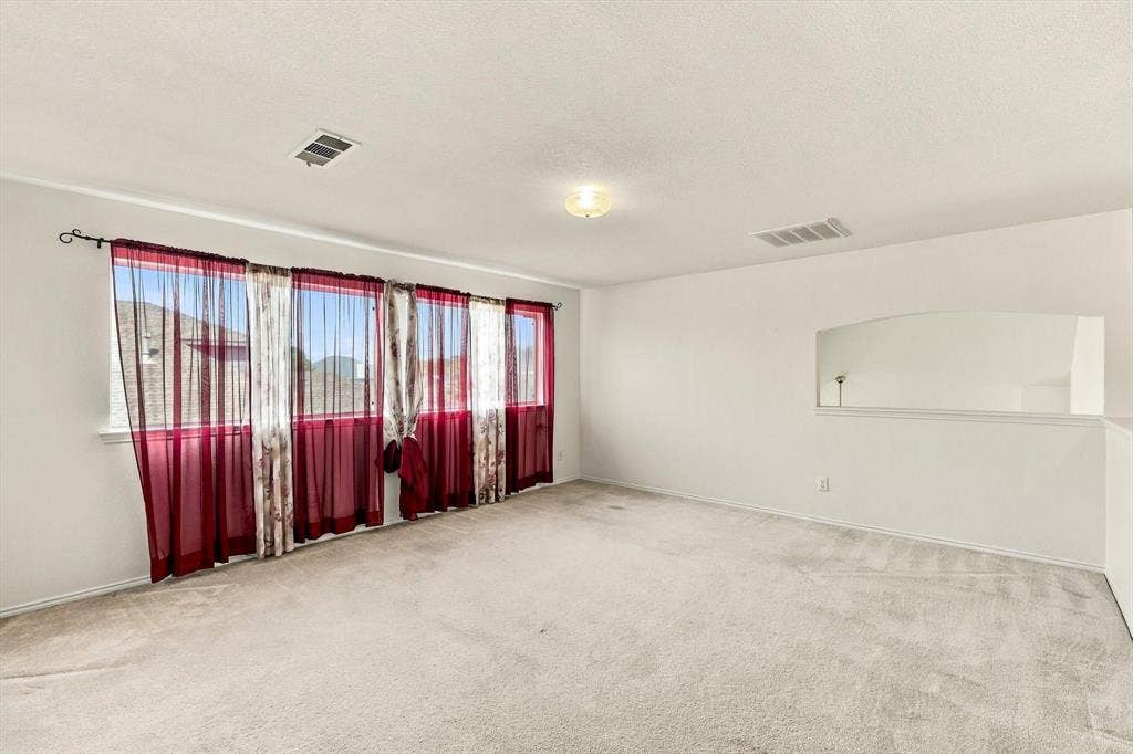 Expansive room featuring light-toned carpet flooring, a large window with sheers, and an arched wall opening