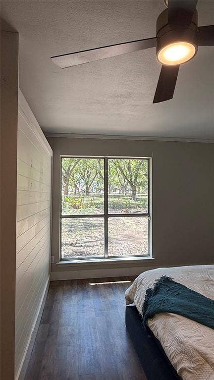 8513 Ravenswood Road, Granbury, TX 76049 Ceiling fan with integrated lighting, wood-finish flooring, accent shiplap wall, and window with views of the backyard landscaping