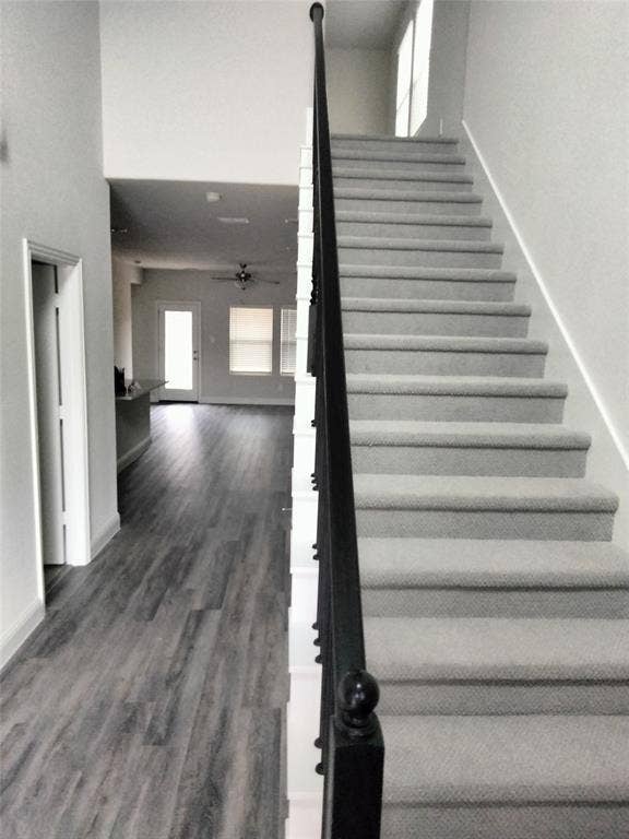 601 Willet Drive, McKinney, TX 75069 Carpeted staircase with dark iron balusters, wood-finish flooring, and a spacious open lower level