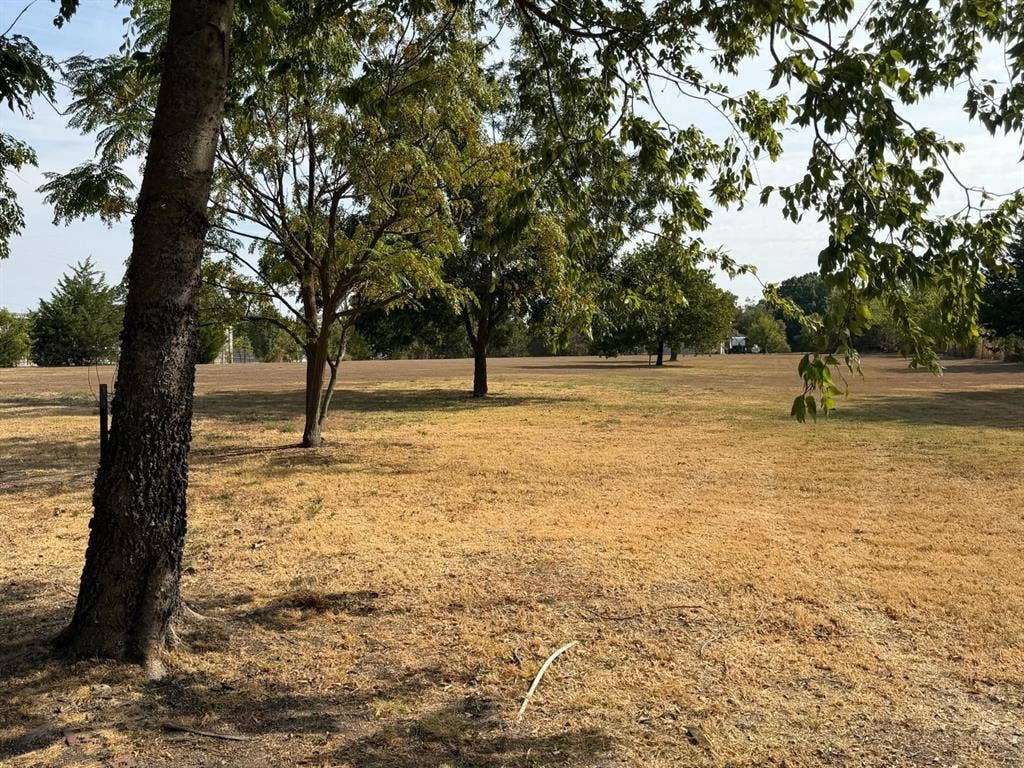 2928 Almeta Lane, McKinney, TX 75069 Expansive open lot featuring mature trees and a substantial grassy area