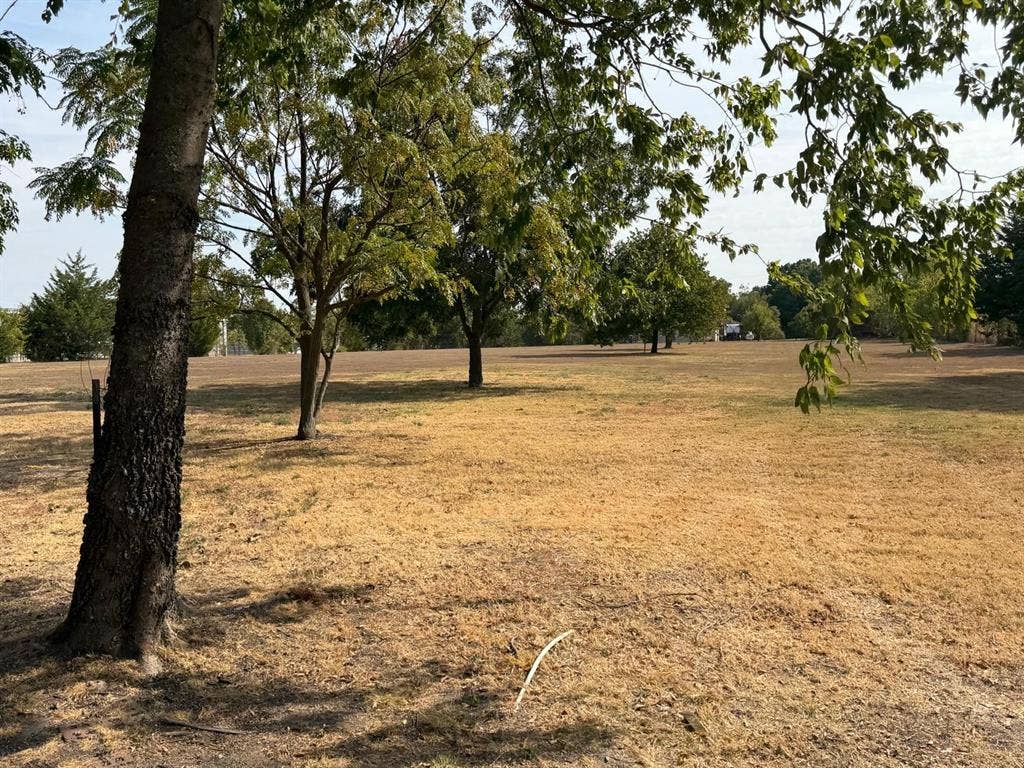 2928 Almeta Lane, McKinney, TX 75069 Expansive land parcel featuring mature trees and open areas