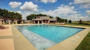 1813 Chadwick Lane, Forney, TX 75126 Expansive outdoor swimming pool with surrounding hardscaping, a nearby shaded pergola, and a stone-clad structure with a covered patio