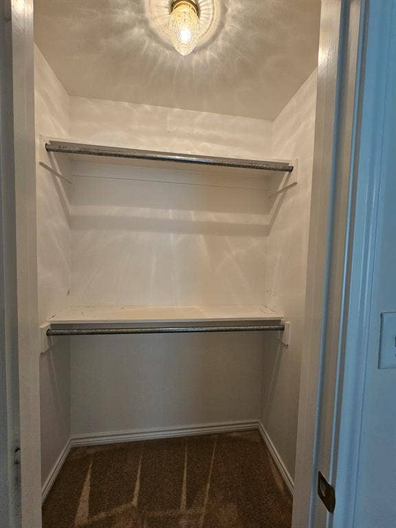 1521 Rice Road, #Z-101, Tyler, TX 75703 Built-in closet shelving, dual hanging rods, overhead lighting fixture, and carpet flooring