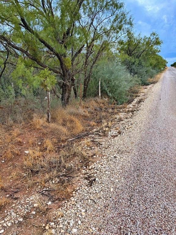 Property photo for TBD CR 107, Trent, TX