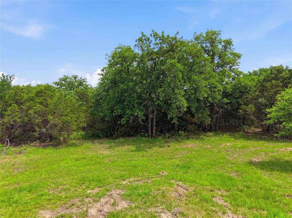 TBD Manley Road, Weatherford, TX 76088 Expansive lot featuring a vibrant green lawn, mature trees, and natural wooded borders