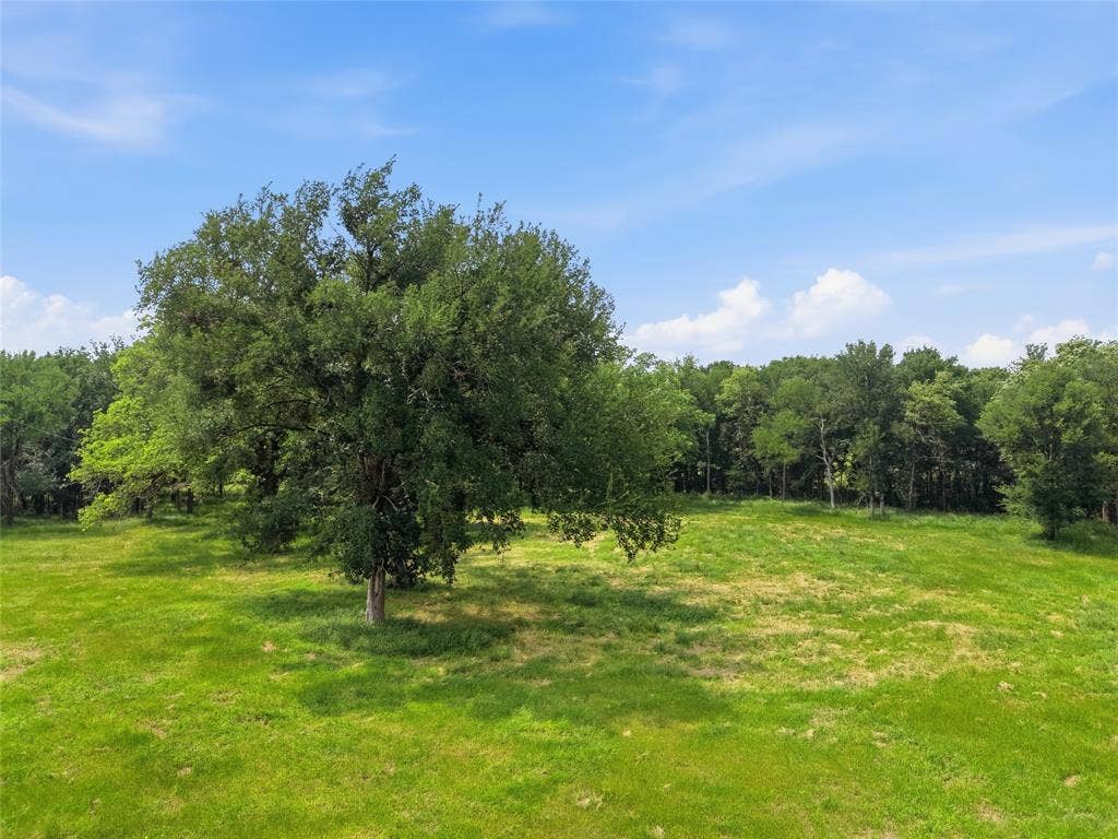 TBD Manley Road, Weatherford, TX 76088 Expansive green field featuring a prominent mature tree, bordered by a dense line of additional trees under a clear blue sky