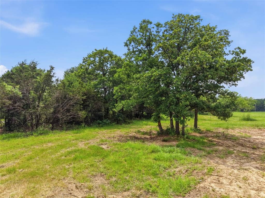 TBD Manley Road, Weatherford, TX 76088 Expansive green space featuring a cluster of mature trees, natural foliage, and open grassland