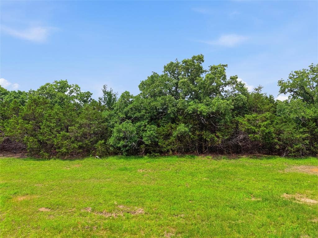 TBD Manley Road, Weatherford, TX 76088 Expansive green space featuring a clear blue sky, lush green grass, and dense mature trees providing natural screening