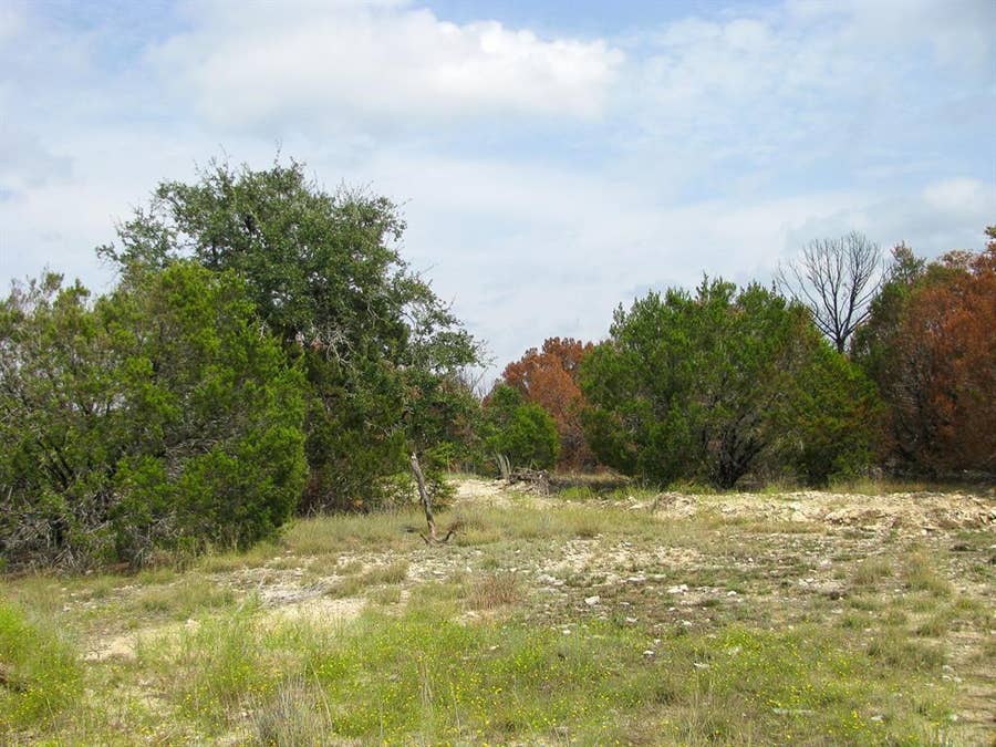 Property photo for Lot 102 Ph 6 Private Road 42101, Evant, TX