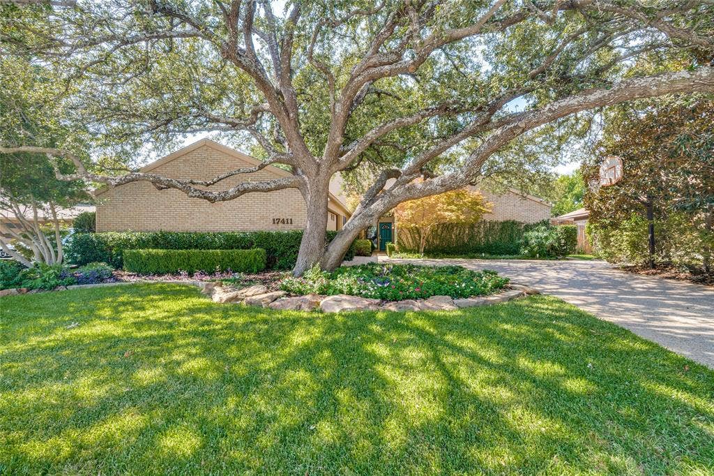 17411 Oakington Court, Dallas, TX 75252 Beautiful drive-up with deep setback - enchanting oak tree and landscaping.