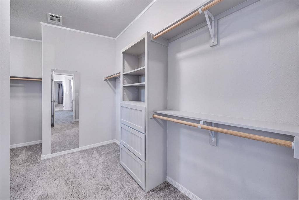 Primary Closet