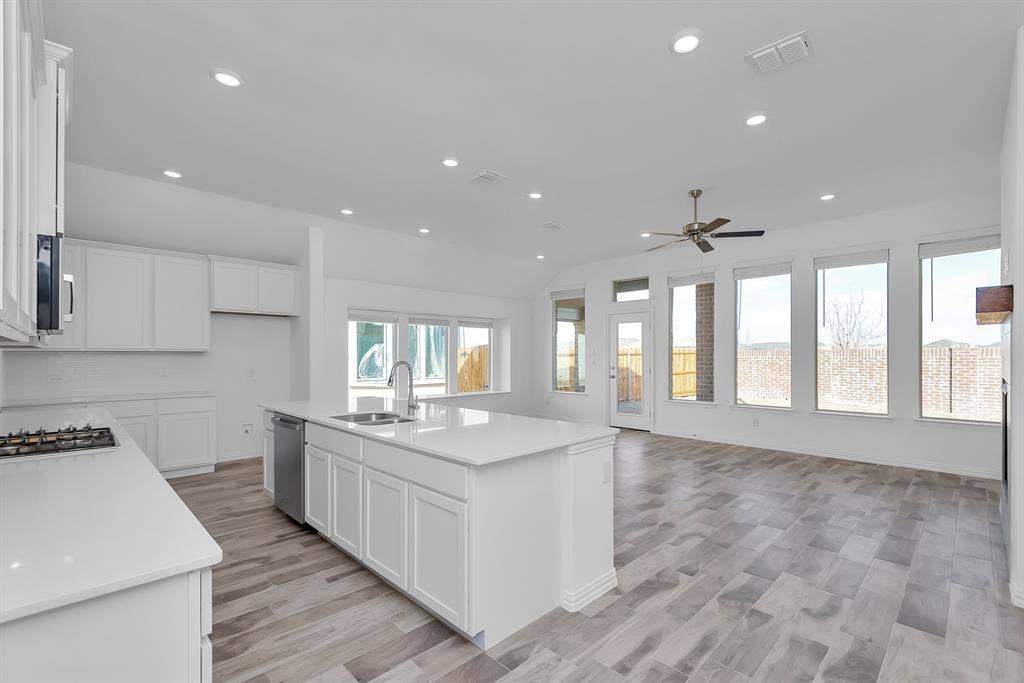 7204 Black Cherry Lane, McKinney, TX 75071 Kitchen featuring appliances with stainless steel finishes, a ceiling fan, recessed lighting, open floor plan, and white cabinets
