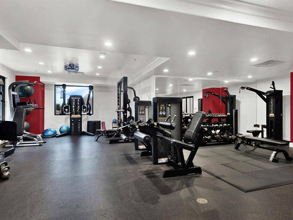 330 Las Colinas Boulevard E, #228, Irving, TX 75039 330 Las Colinas Boulevard E, #228, Irving, TX 75039