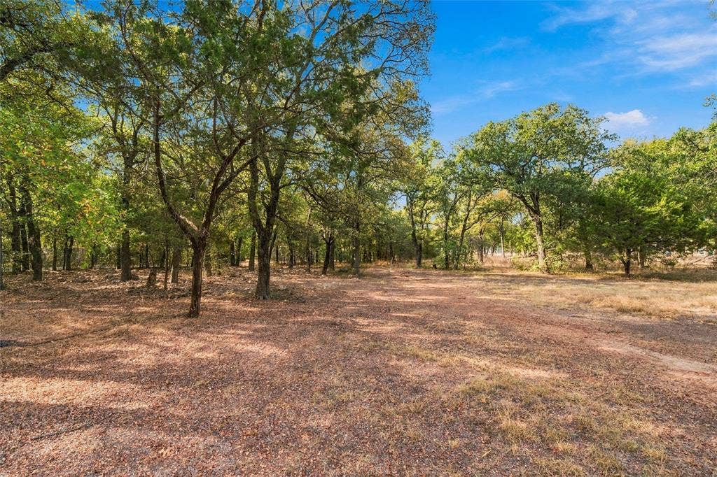 167 Tall Timber Trail, Whitney, TX 76692