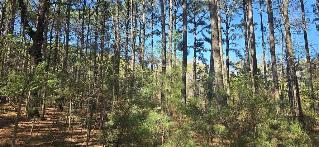 8300 Trophy Point, Larue, TX 75770 Additional content