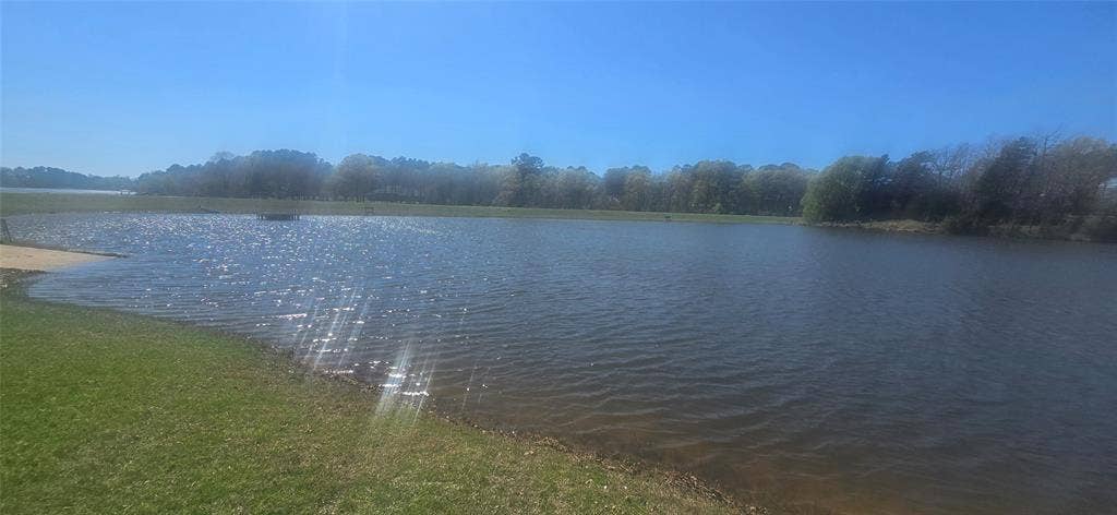 8300 Trophy Point, Larue, TX 75770 Expansive waterfront setting with natural shoreline