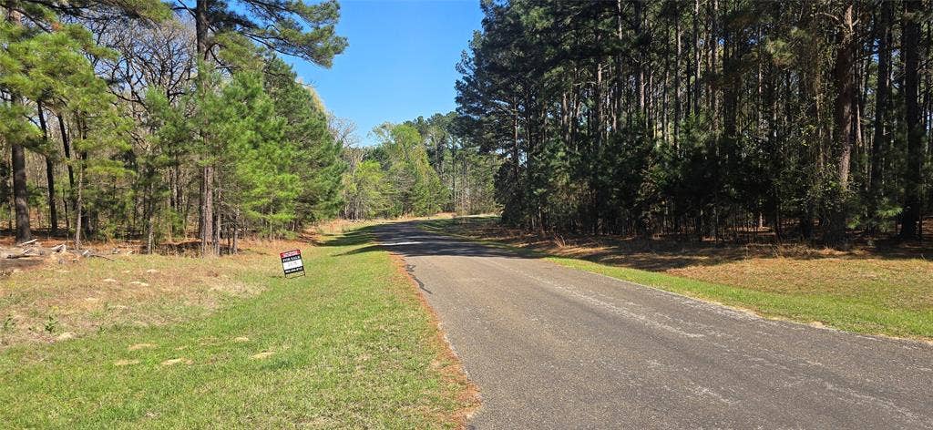 8300 Trophy Point, Larue, TX 75770 Paved road frontage with mature evergreen trees, expansive grassy area, and natural wooded surroundings