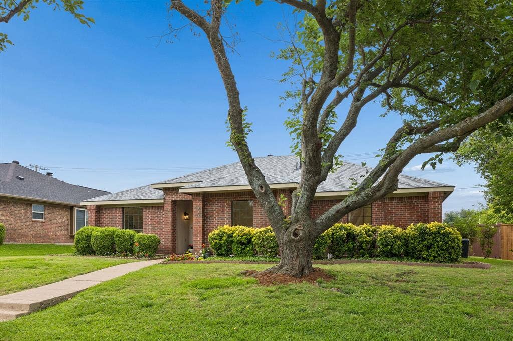 4540 New Orleans Drive, Plano, TX 75093 Brick exterior with a gray shingle roof, mature tree, front walkway, and landscaped shrubbery