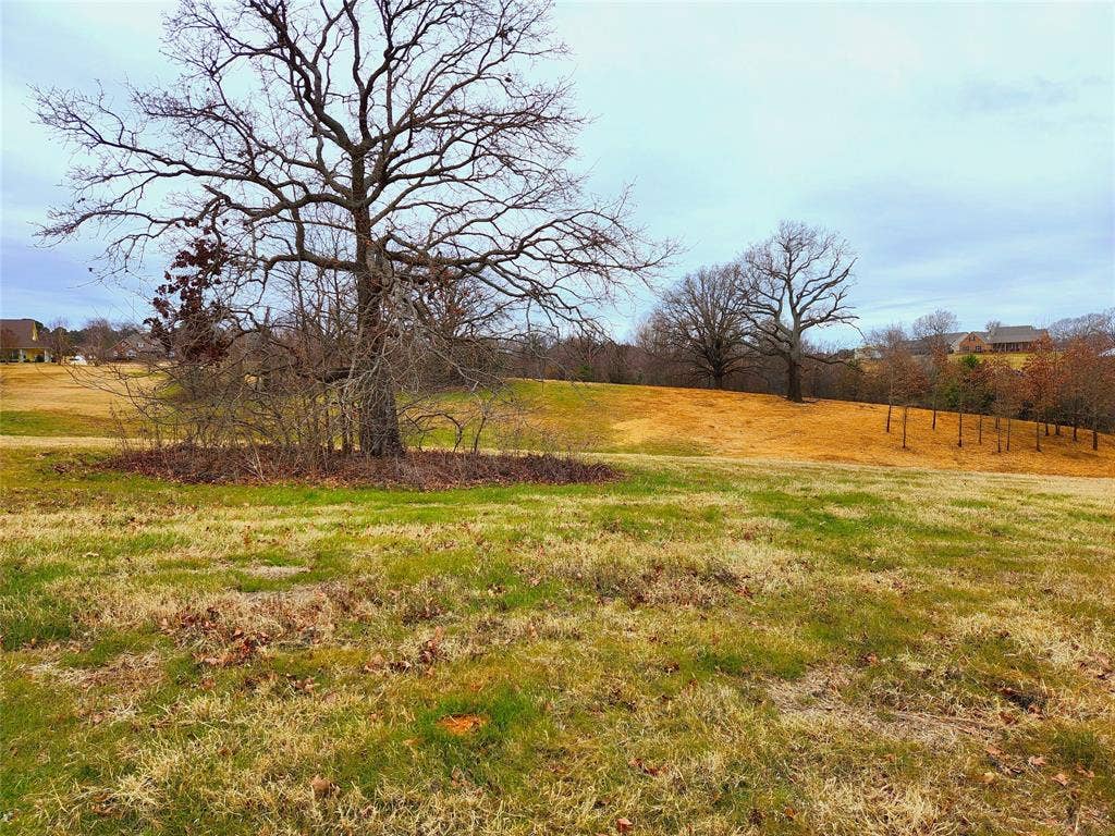 Lot 125 Clear View Court, Athens, TX 75752 Lot 125 Clear View Court, Athens, TX 75752