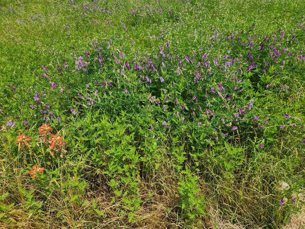 Lot 125 Clear View Court, Athens, TX 75752 Lot 125 Clear View Court, Athens, TX 75752