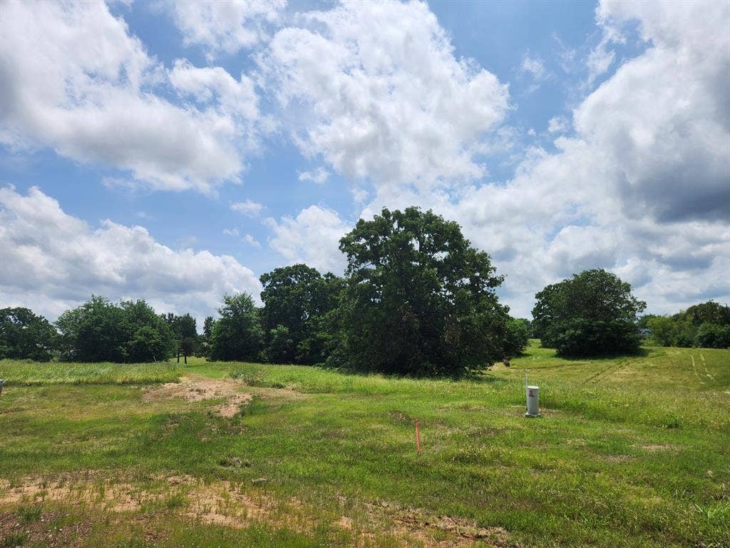 Lot 125 Clear View Court, Athens, TX 75752 Lot 125 Clear View Court, Athens, TX 75752