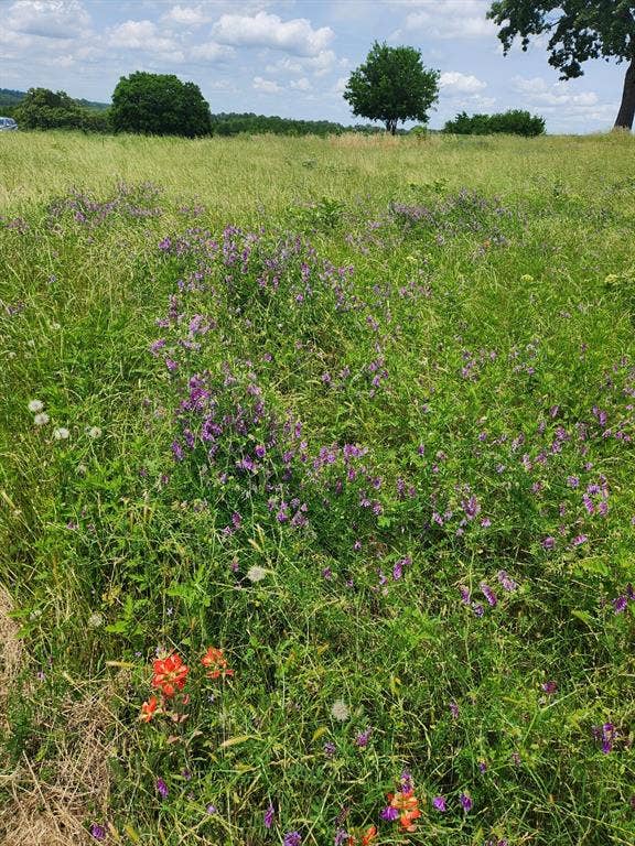 Lot 125 Clear View Court, Athens, TX 75752 Lot 125 Clear View Court, Athens, TX 75752