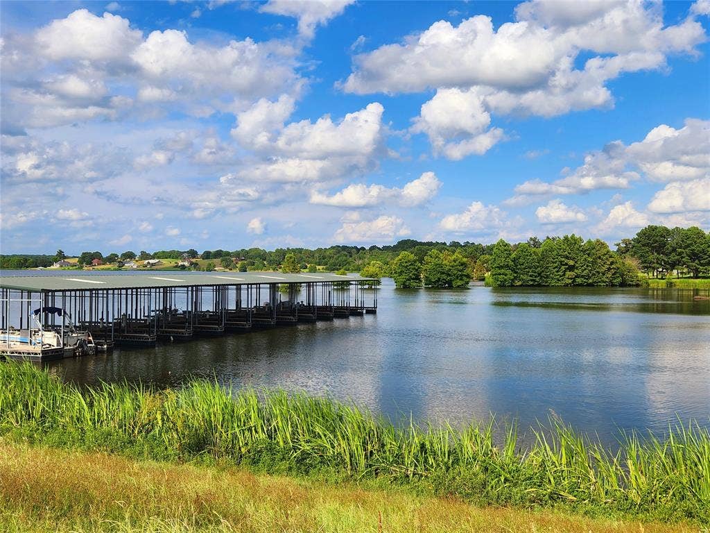 Lot 125 Clear View Court, Athens, TX 75752 Lake marina