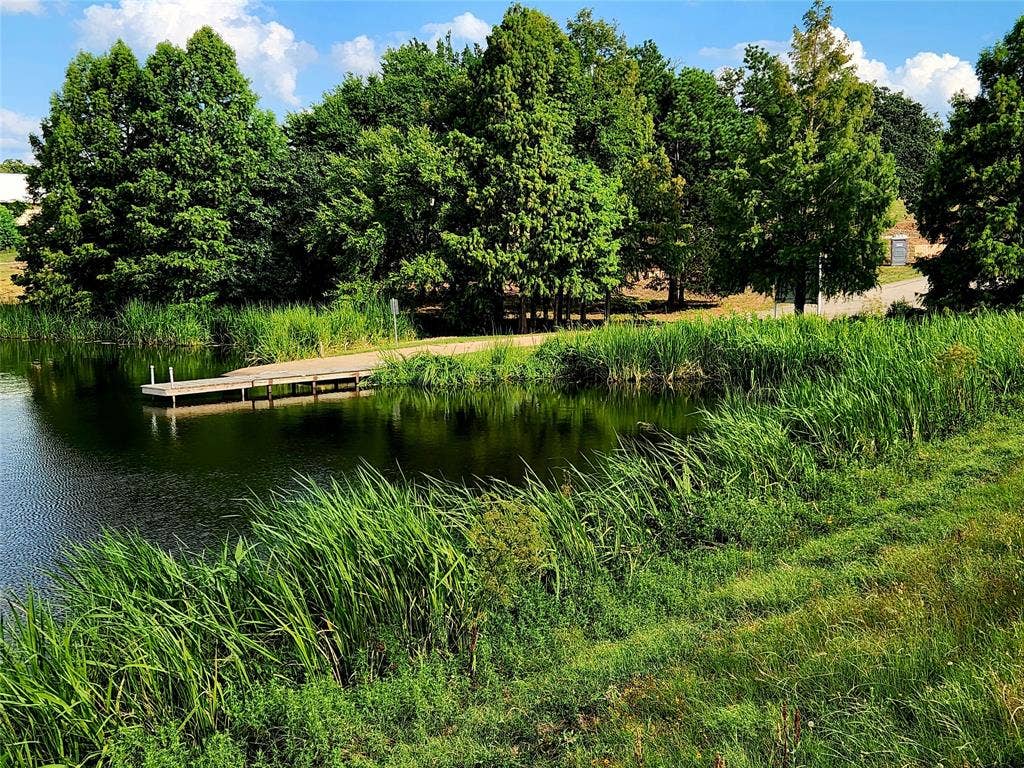 Lot 125 Clear View Court, Athens, TX 75752 Lake boat ramo,