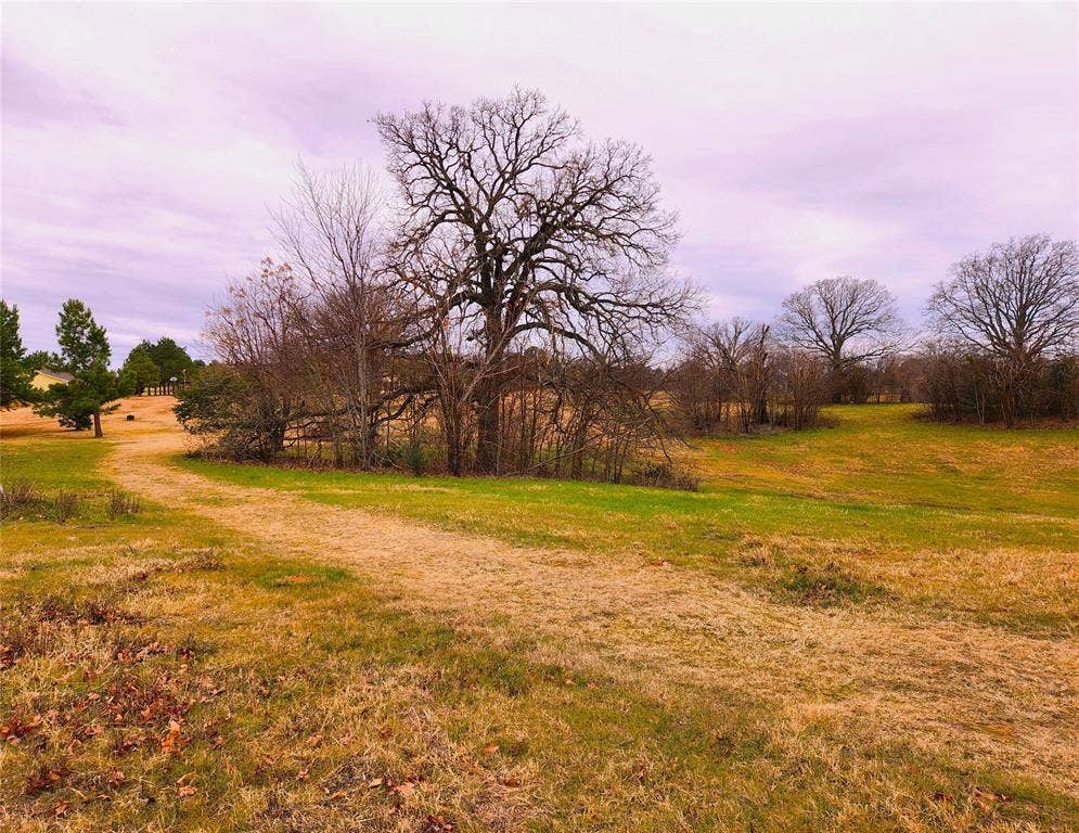 Lot 125 Clear View Court, Athens, TX 75752 Lot 125 Clear View Court, Athens, TX 75752