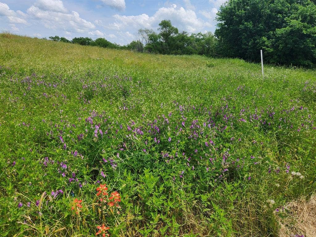 Lot 125 Clear View Court, Athens, TX 75752 Lot 125 Clear View Court, Athens, TX 75752