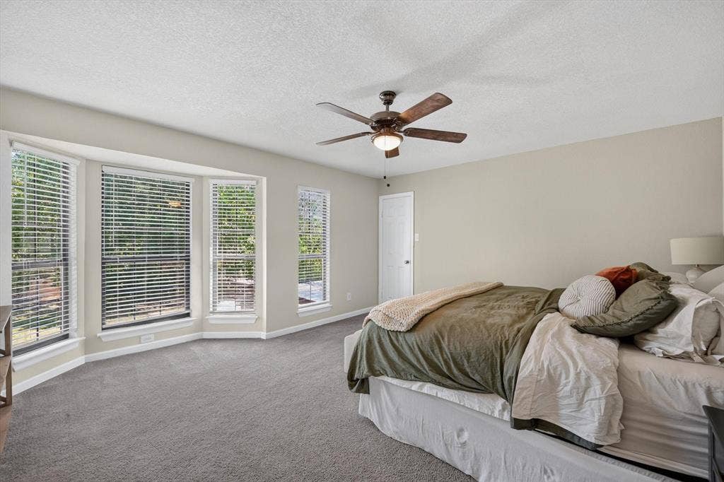 519 Fox Creek Court, Denton, TX 76209 Neutral wall color, ceiling fan with light fixture, gray carpeting, and multiple windows