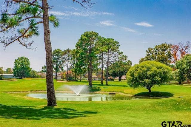 66 S Ryder Cup Trail, Hideaway, TX 75771