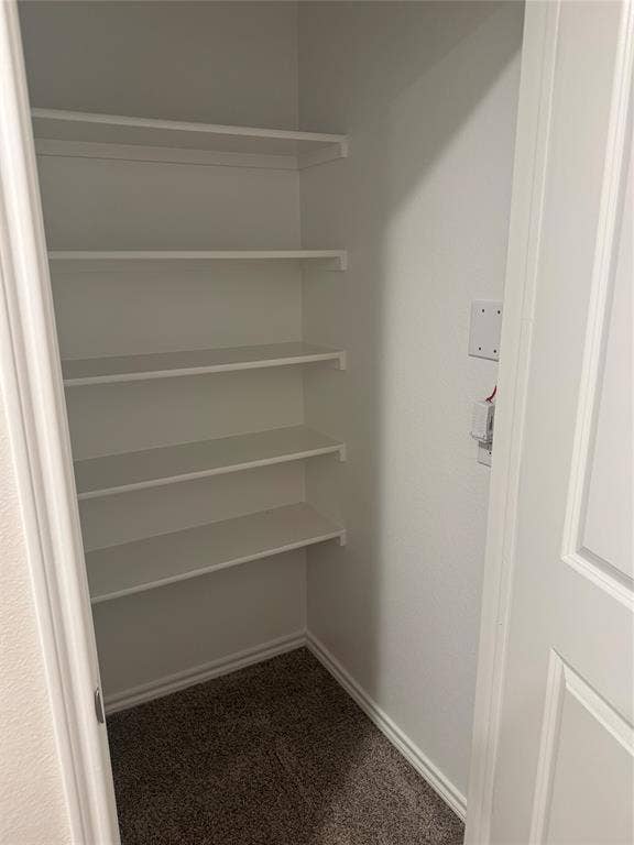 6104 Primrose Road, Princeton, TX 75407 Upstairs additional storage closet