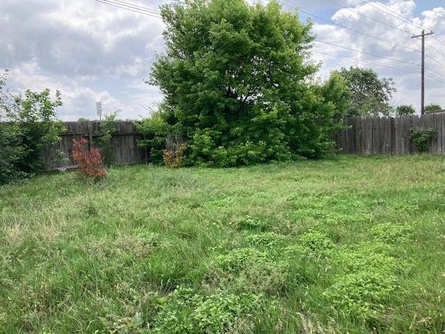 148 Amber Lane, Jarrell, TX 76537 back yard