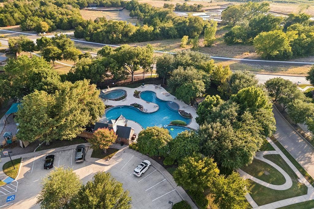 3613 Sparkling Drive, Plano, TX 75074 Resort-style pool with multiple swimming areas, integrated spa, and surrounding hardscaping